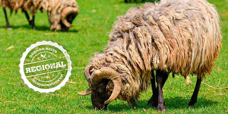 heidschnucken